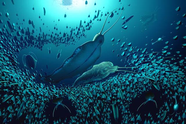 <p>Rekonstrukcja ekosystemu pelagicznego i organizmów skamieniałych w Syriuszu Passet, ujawniająca, że Timorebestia była jednym z największych drapieżników w słupie wody ponad 518 milionów lat temu</s>